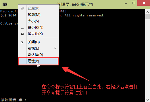 命令提示符窗口