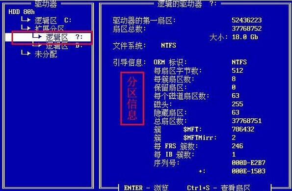 分区信息