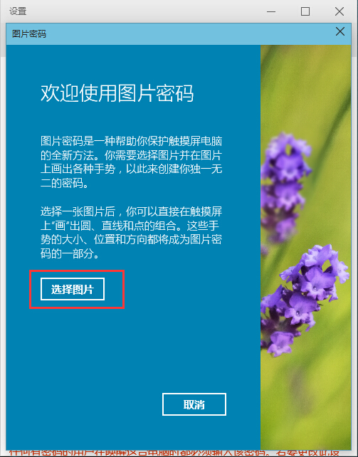选择图片