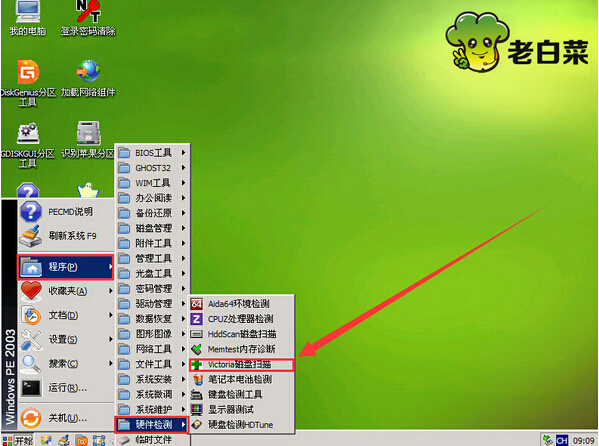 Victoria磁盘扫描
