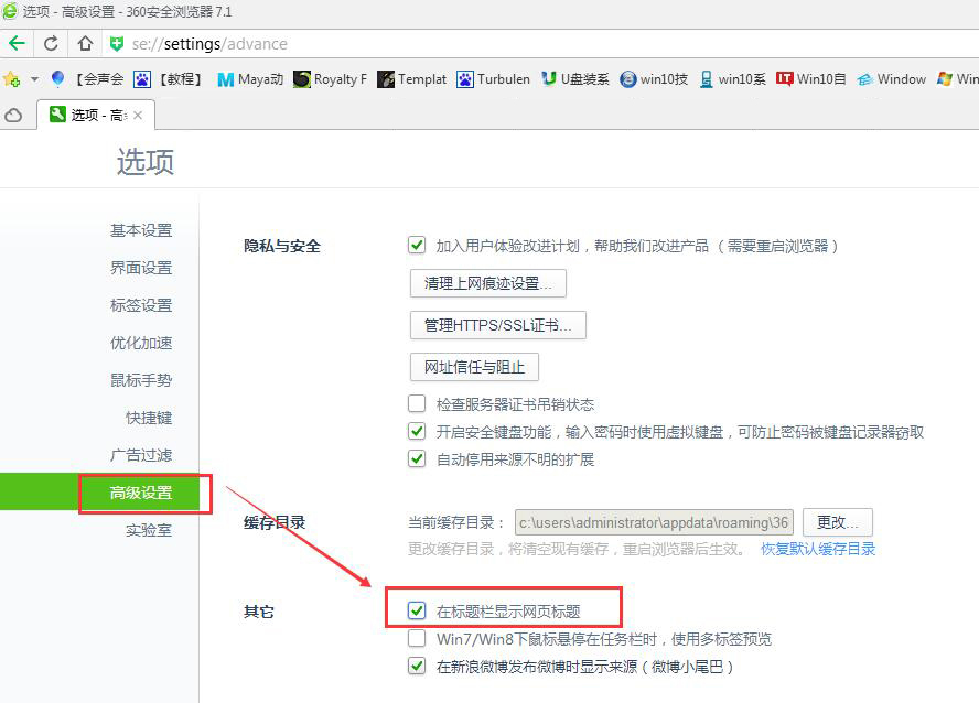 在标题栏显示网页标题