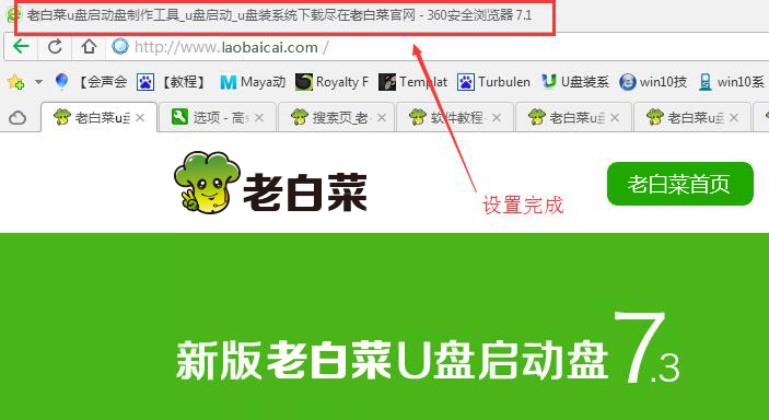 在标题栏显示网页标题