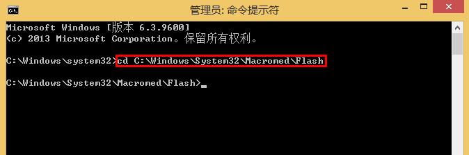 flash插件加载失败