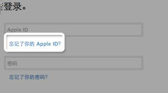忘记 Apple ID
