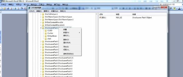 无法注册flash4