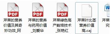 caj文件怎么打开2