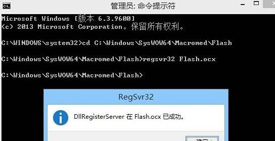 flash player3