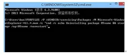 win8.1系统卸载ie11浏览器失败怎么办2