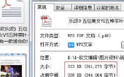 解析pdf文件怎么打开 pdf文件打开的方法教程
