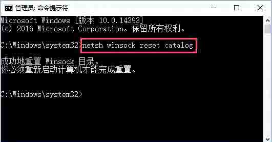 sens服务无法启动