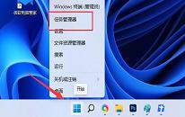 win11系统wsappx占用内存高怎么解决